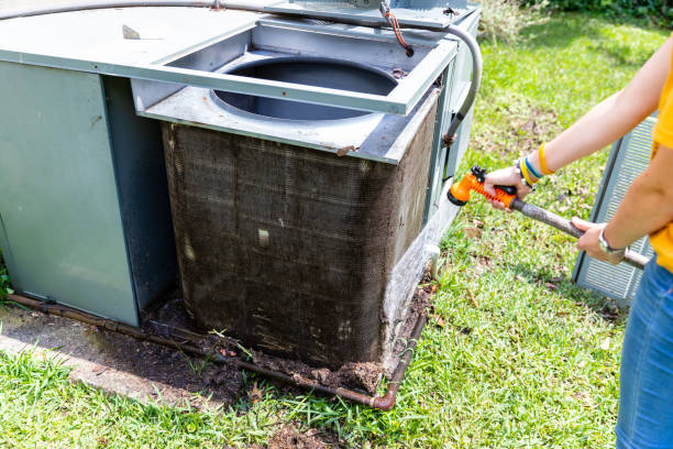 Best Local Air Duct Cleaning Services  in Carson City, NV