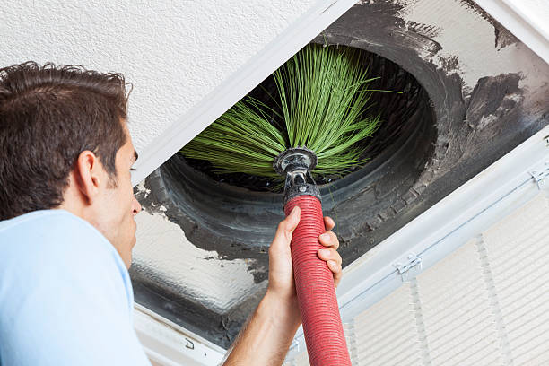 Best Home Air Vent Cleaning  in Carson City, NV